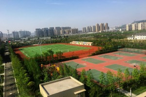 温州森马学校室外绿化工程化工程